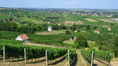 5 Must-Visit Places around Bóly – Enjoy the Beauty of Southern Transdanubia’s Nature!